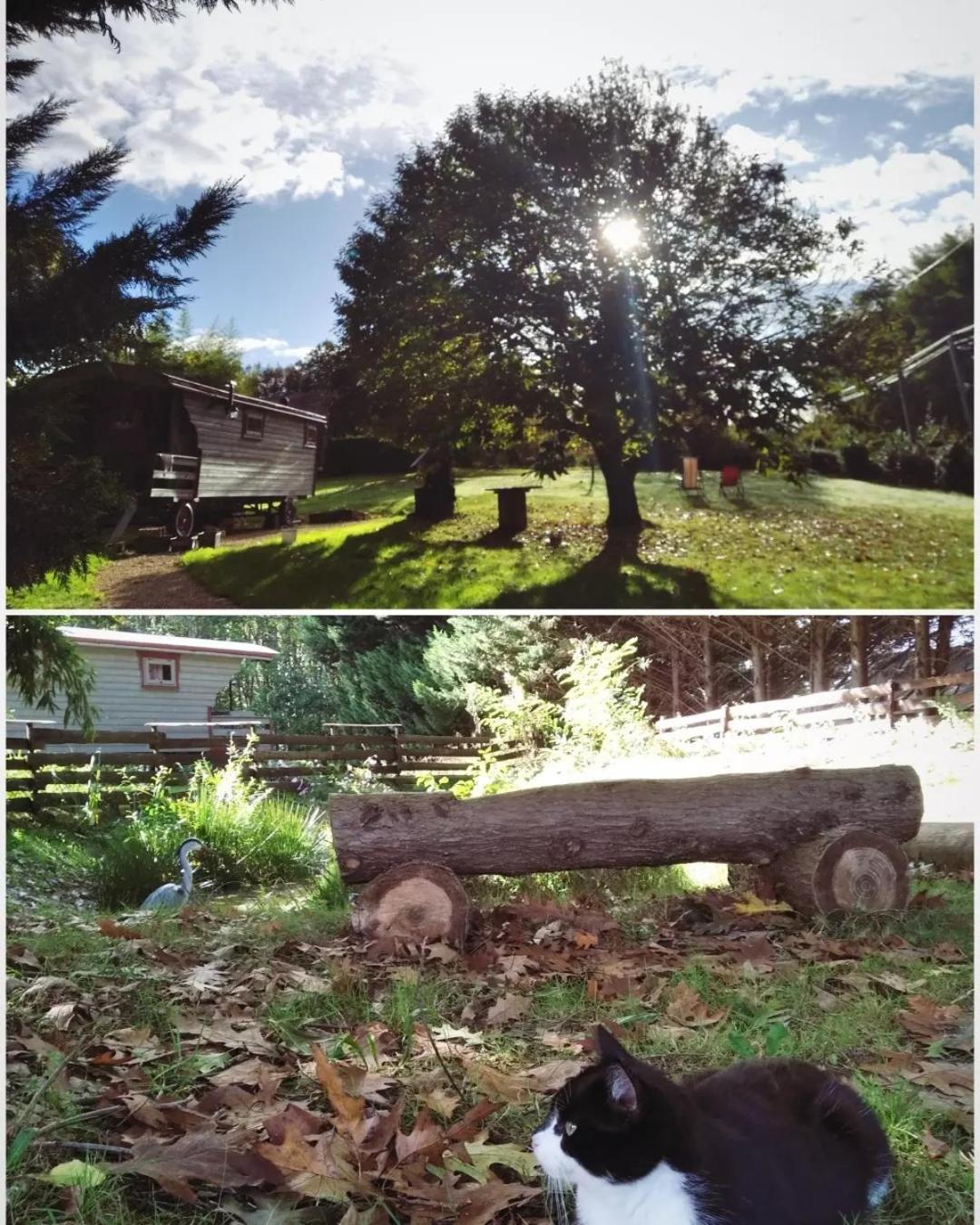 Tente Trappeur Ada, Au Jardin De La Vouivre Saint-Vincent-en-Bresse 外观 照片