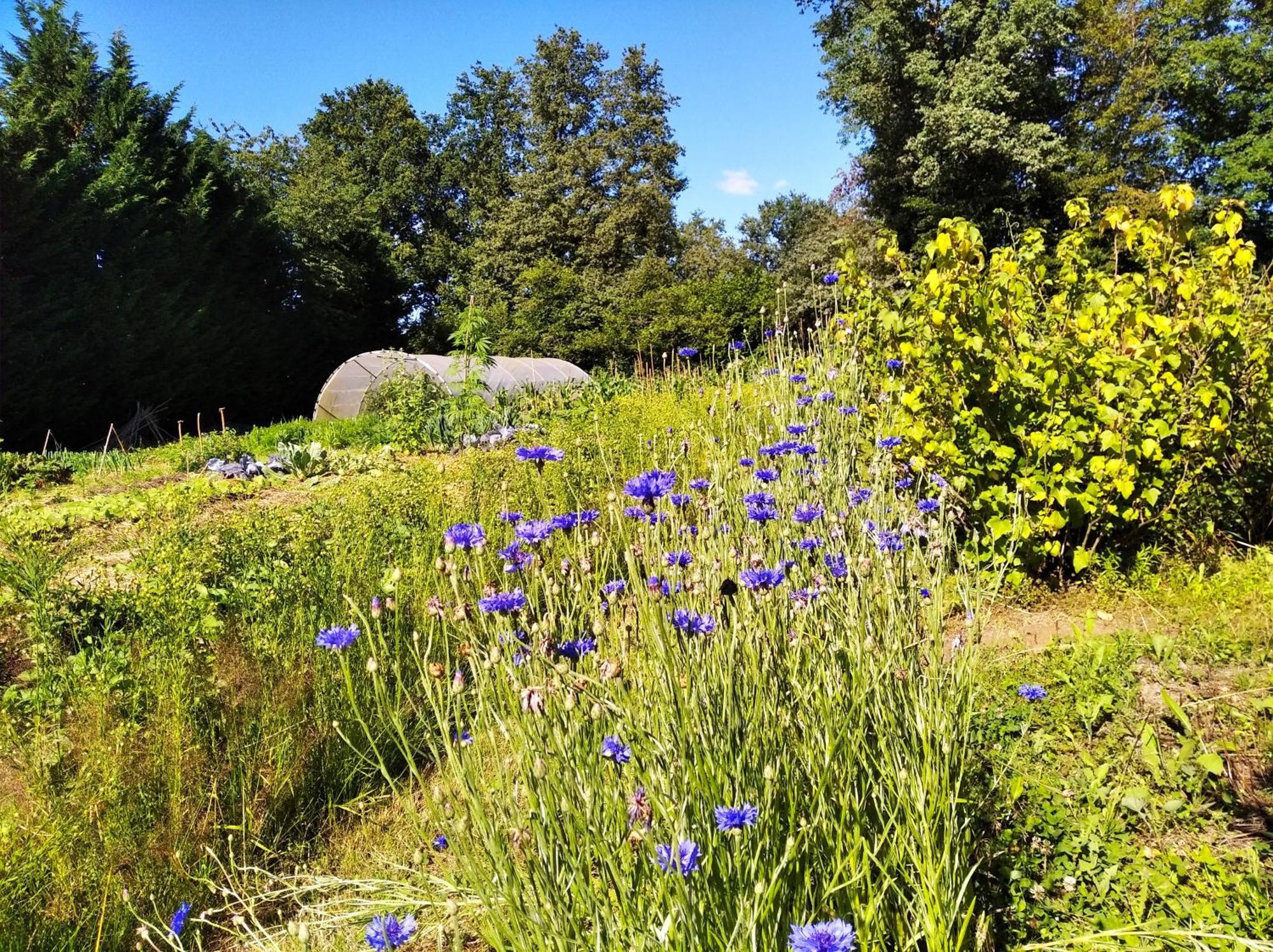 Tente Trappeur Ada, Au Jardin De La Vouivre Saint-Vincent-en-Bresse 外观 照片